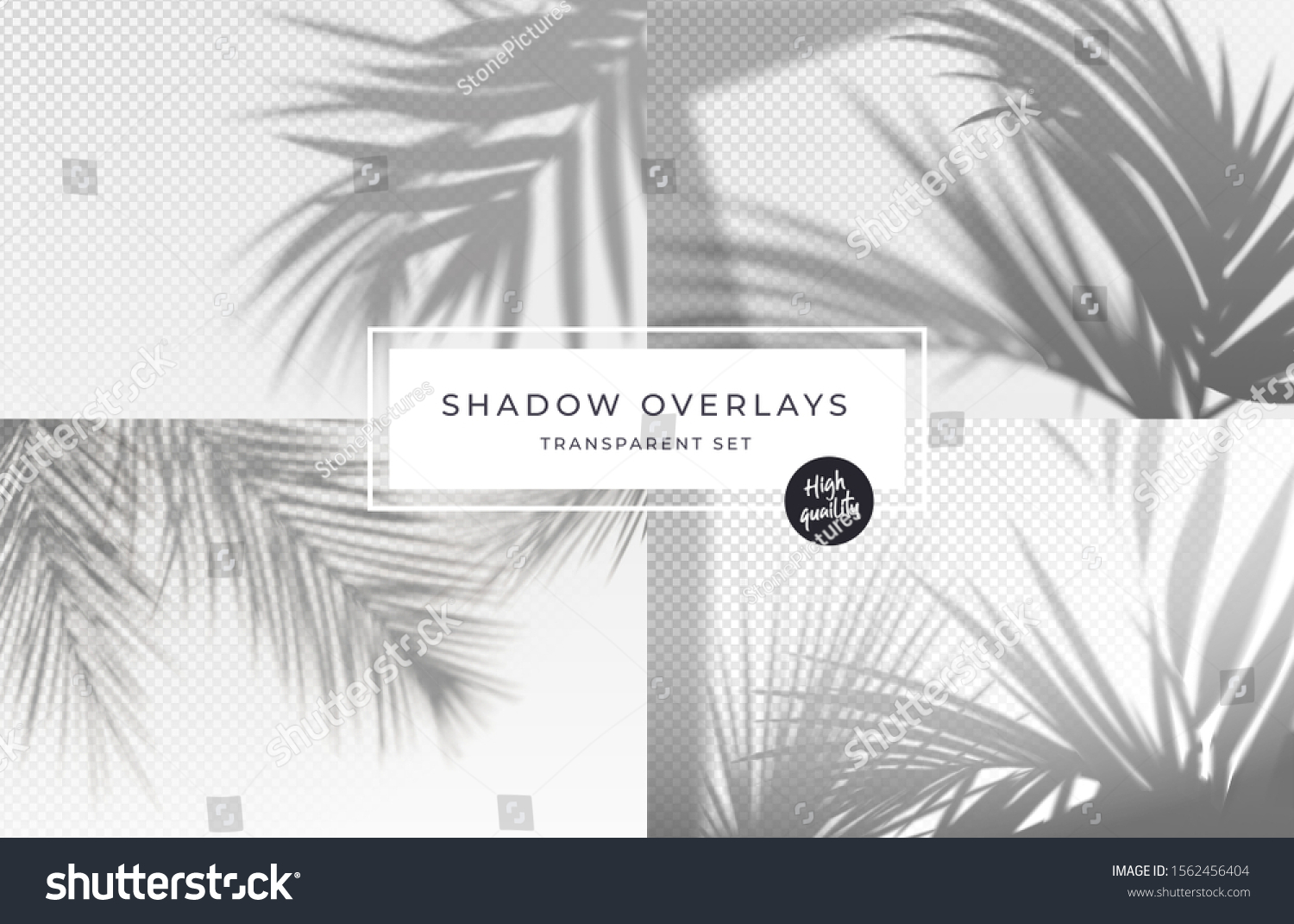SVG of Set of shadow background overlays. Realistic Shadow mock up scenes. Transparent shadow of tropical leaves. Vector illustration svg