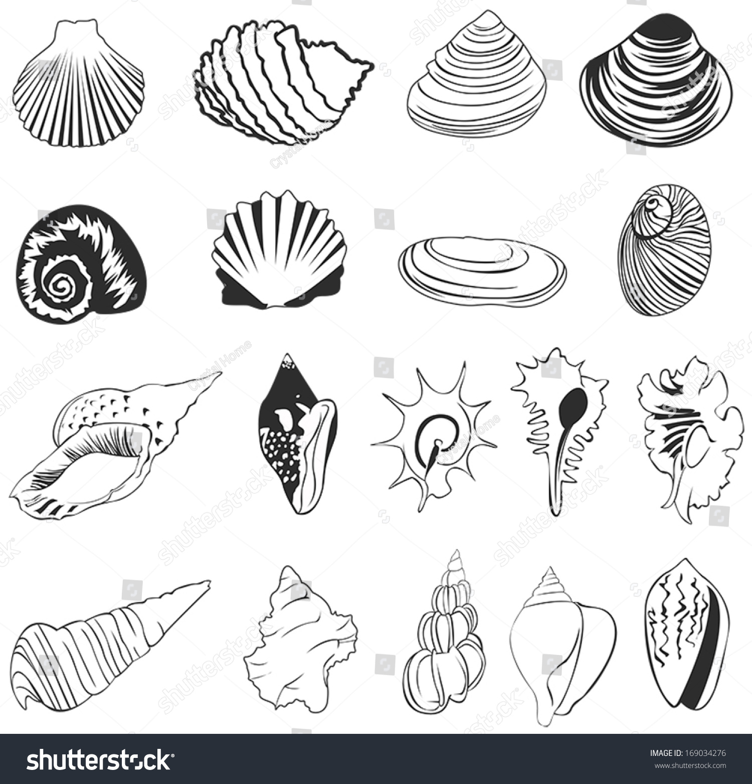 Set Silhouette Shell Icons Create By Stock Vector (Royalty Free ...