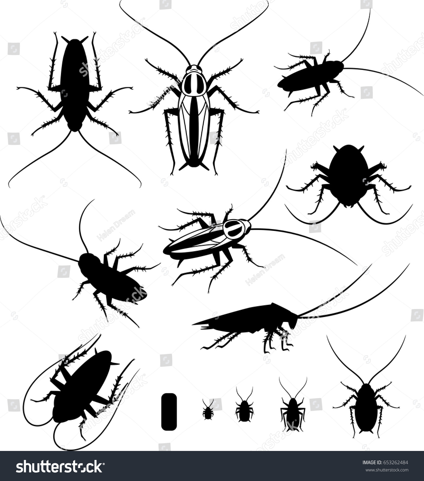 Set Silhouettes Cockroaches Vector Eps 10 Stock Vector (Royalty Free ...