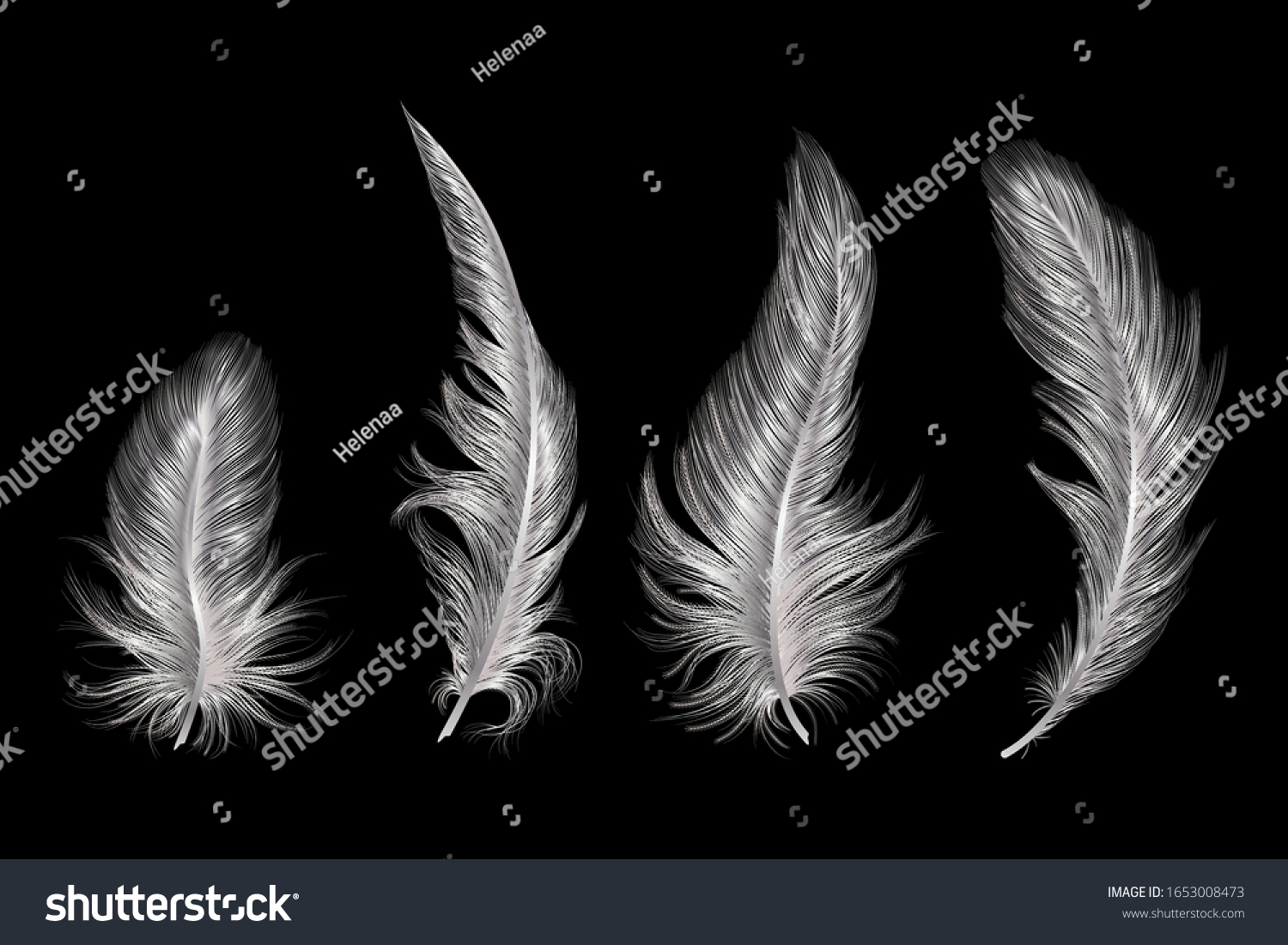 3,696 Silver feather Stock Vectors, Images & Vector Art | Shutterstock