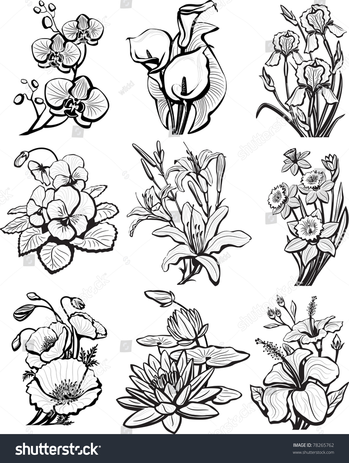 Set Of Sketches Of Flowers Stock Vector 78265762 : Shutterstock