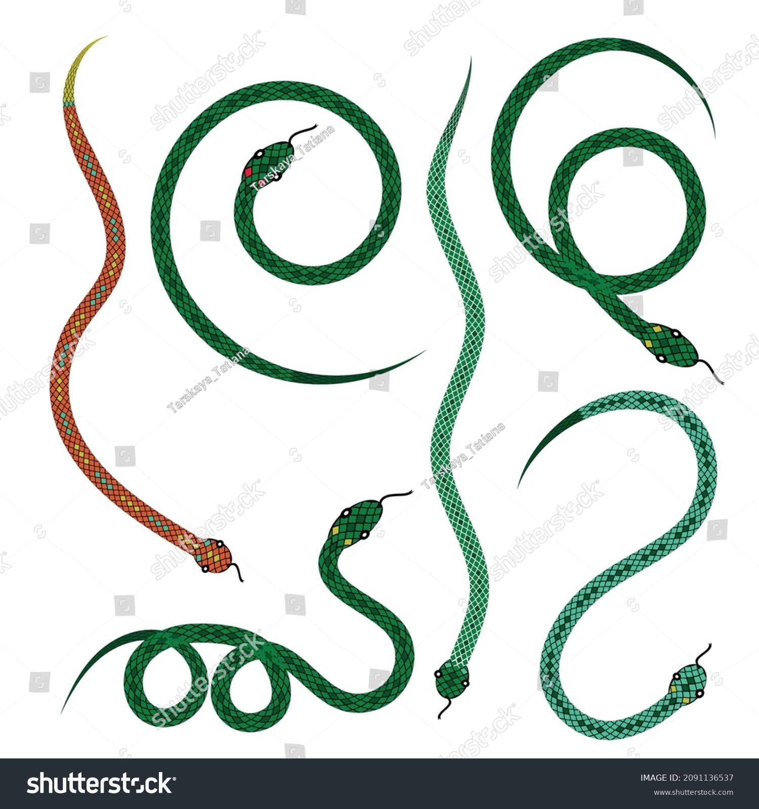 1,066 Snake pose Stock Illustrations, Images & Vectors | Shutterstock