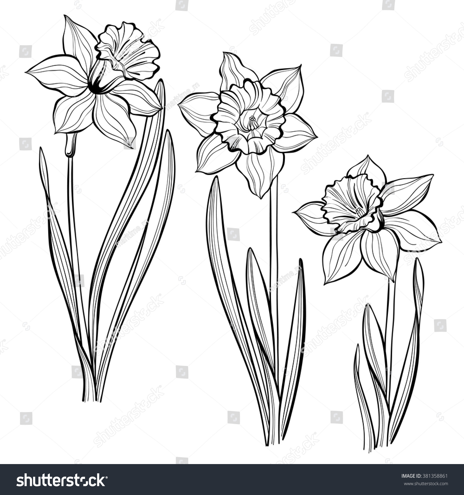 SVG of Set of spring flowers daffodils isolated on white background.  Hand drawn vector illustration, sketch. Elements for design. svg