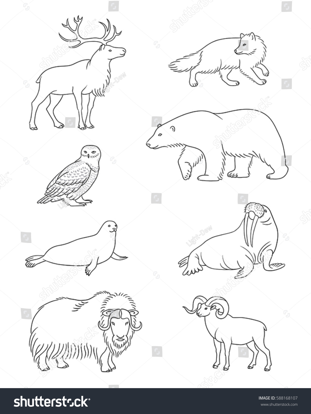 Set Stylized Vector Arctic Animals Contours Stock Vector (Royalty Free ...