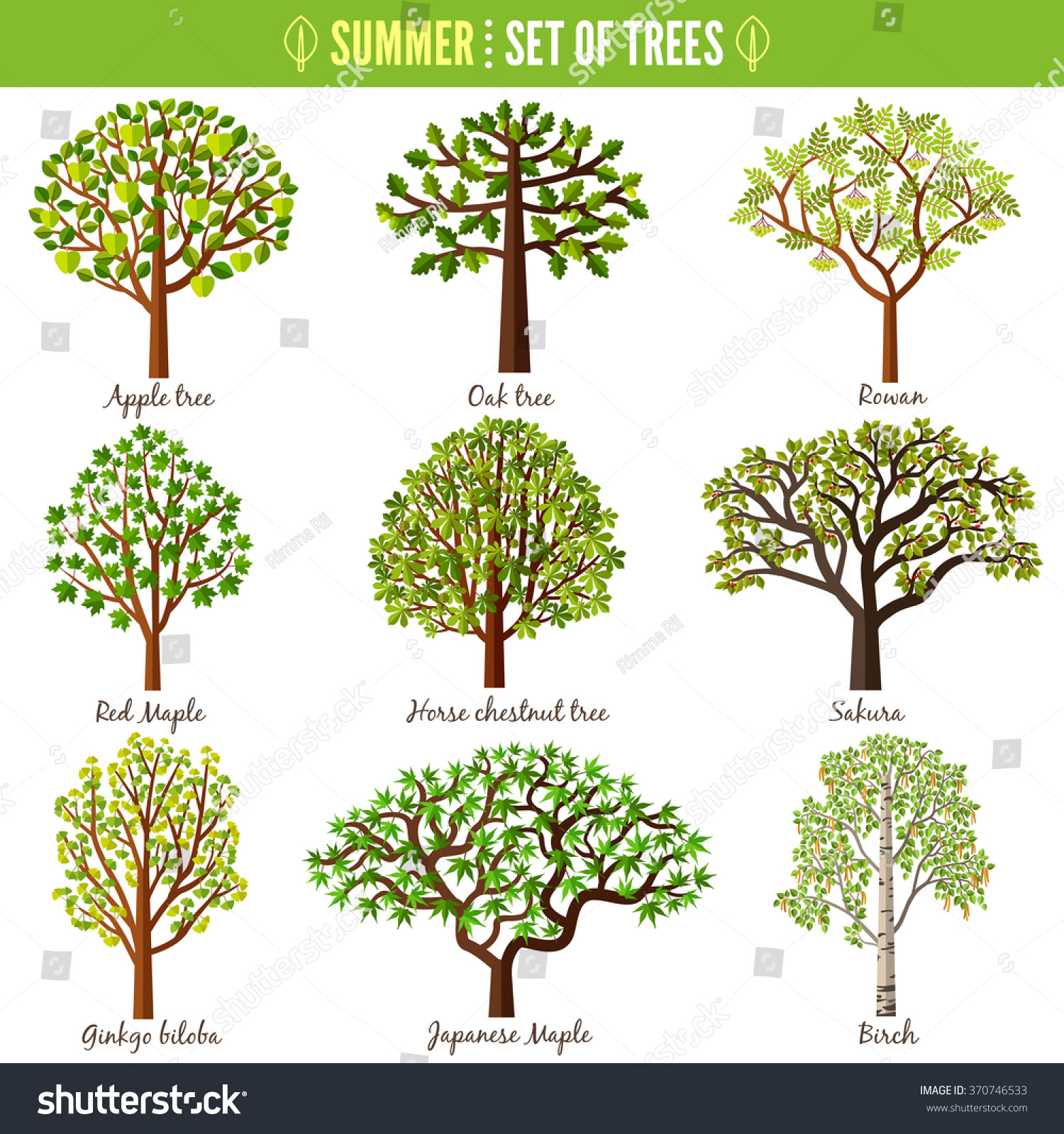 35,520 Rowan tree illustration Images, Stock Photos & Vectors ...