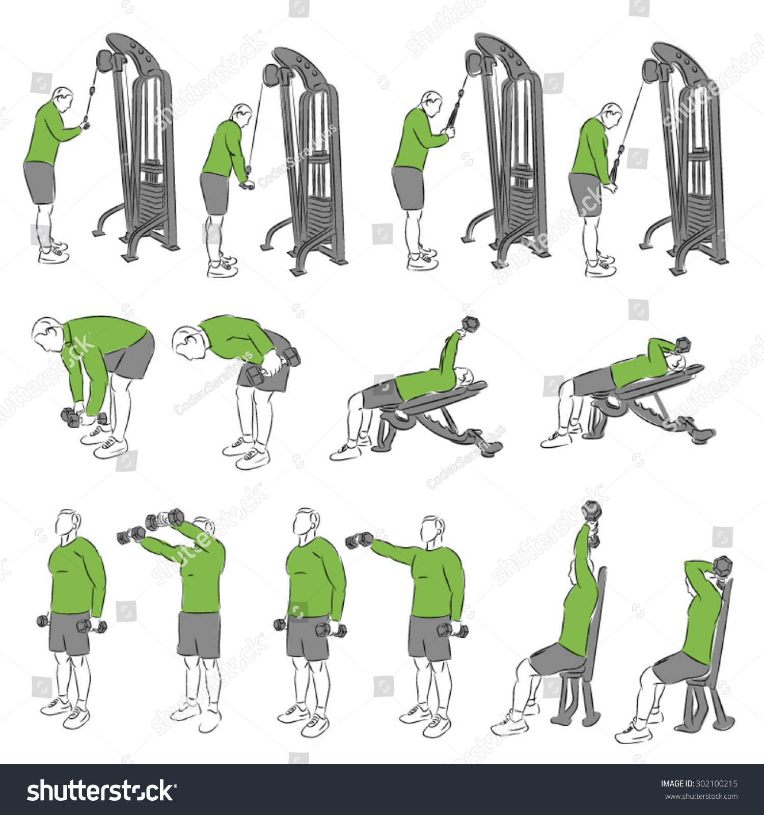 Set Of Systematic Bodybuilding Exercises Stock Vector Illustration ...