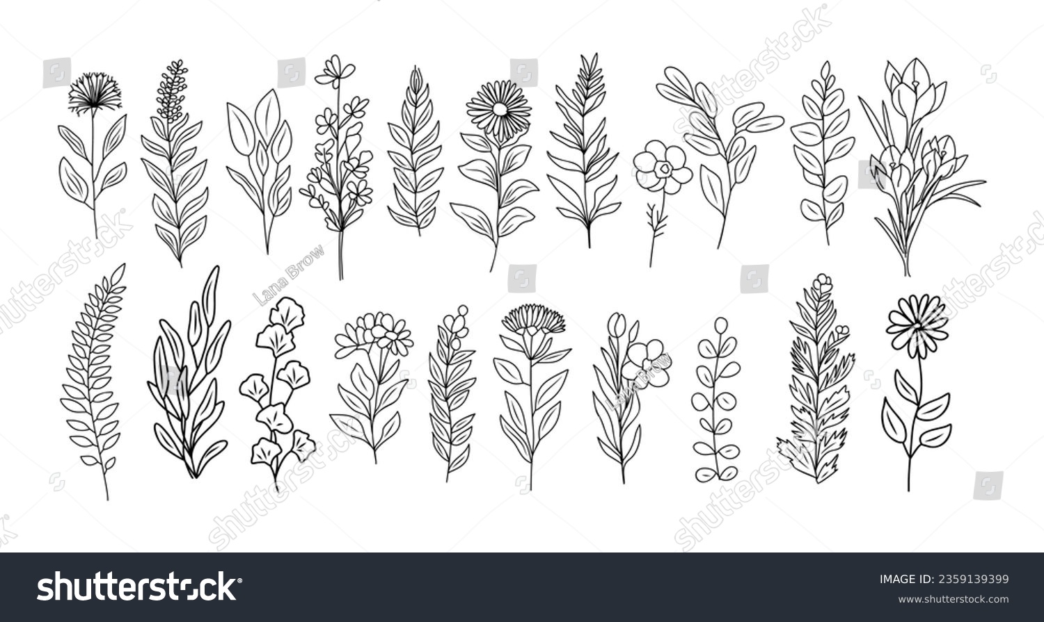 SVG of Set of tiny wild flowers and plants line art botanical illustrations. Trendy greenery hand drawn black ink sketches collection. Vector design elements isolated on white background svg