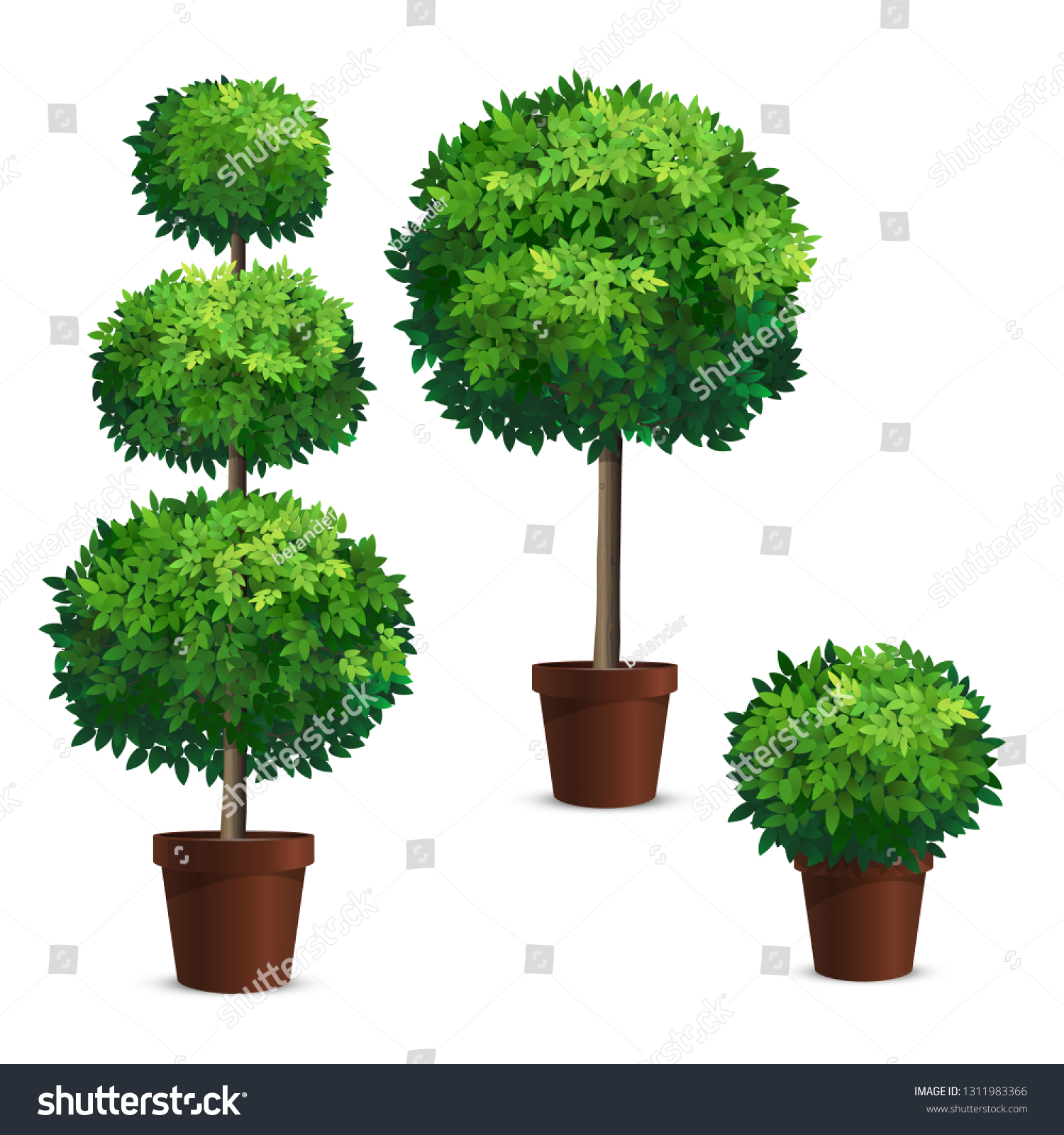 Set Topiary Trees Pots Plants Garden Stock Vector Royalty Free 1311983366