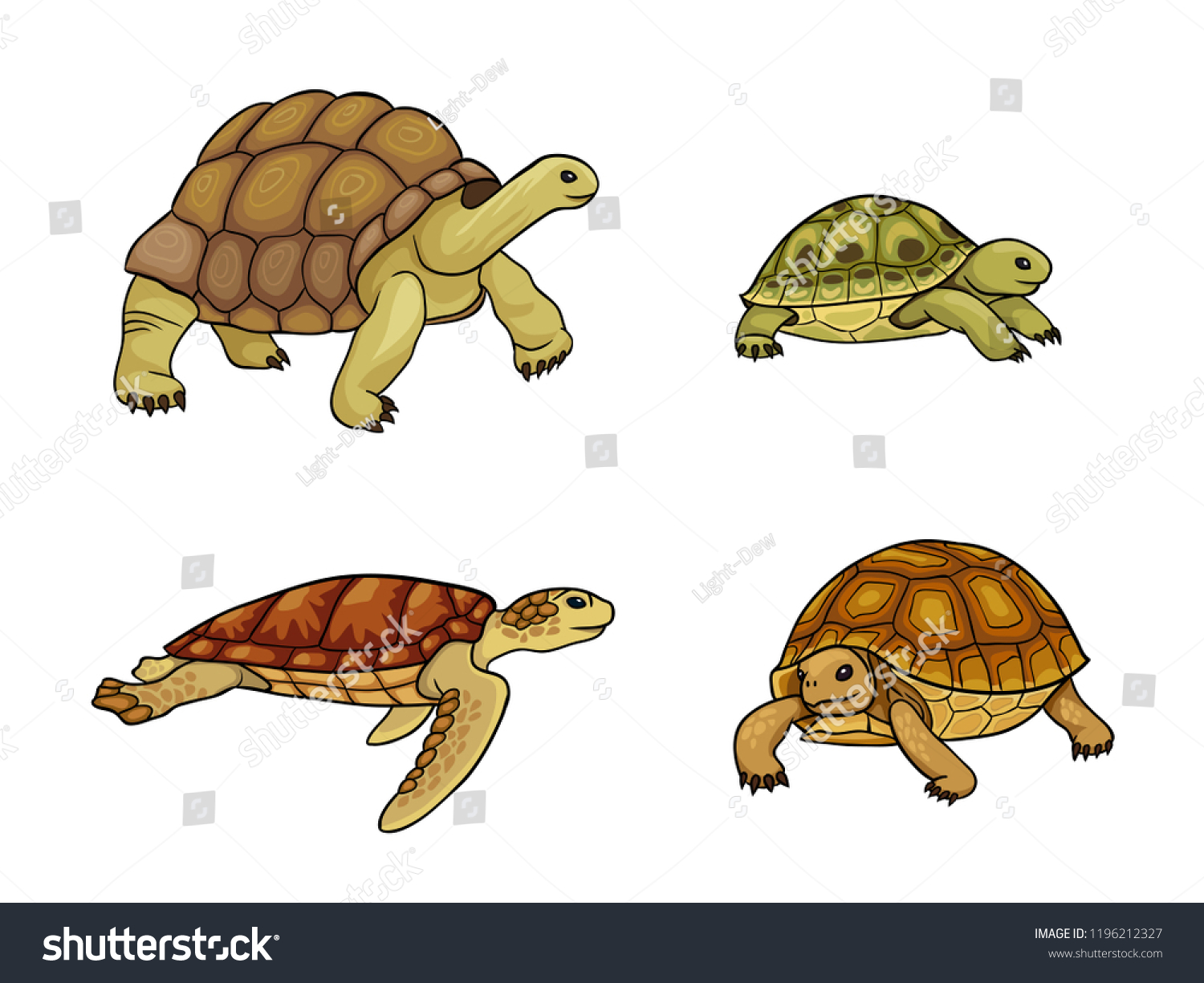 SVG of Set of tortoise and turtle - vector illustration. EPS8 svg