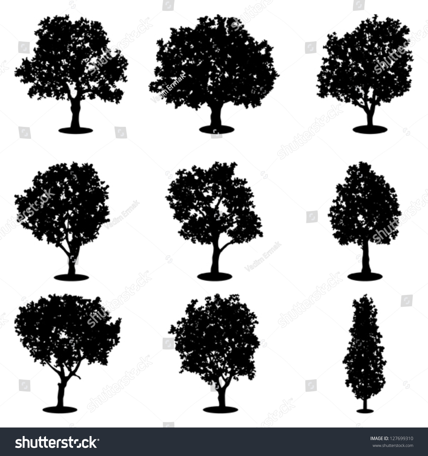 Set Of Trees Silhouettes Stock Vector Illustration 127699310 : Shutterstock