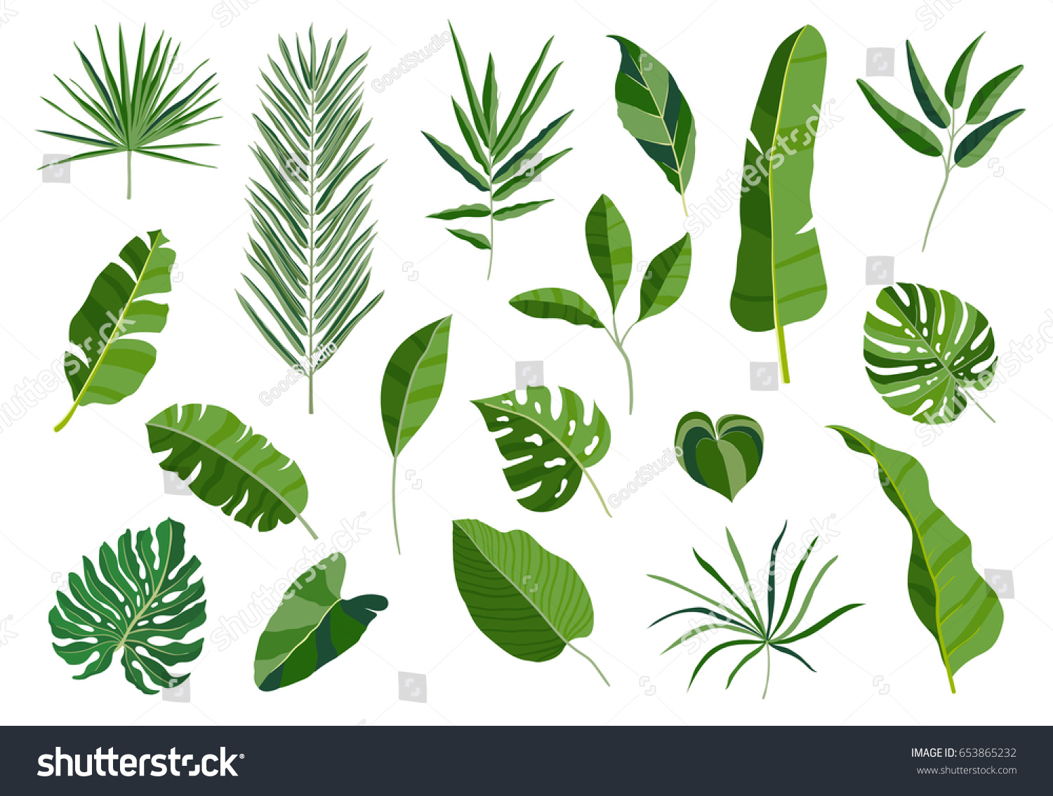 Set Tropical Leaves Different Green Leaf Stock Vector