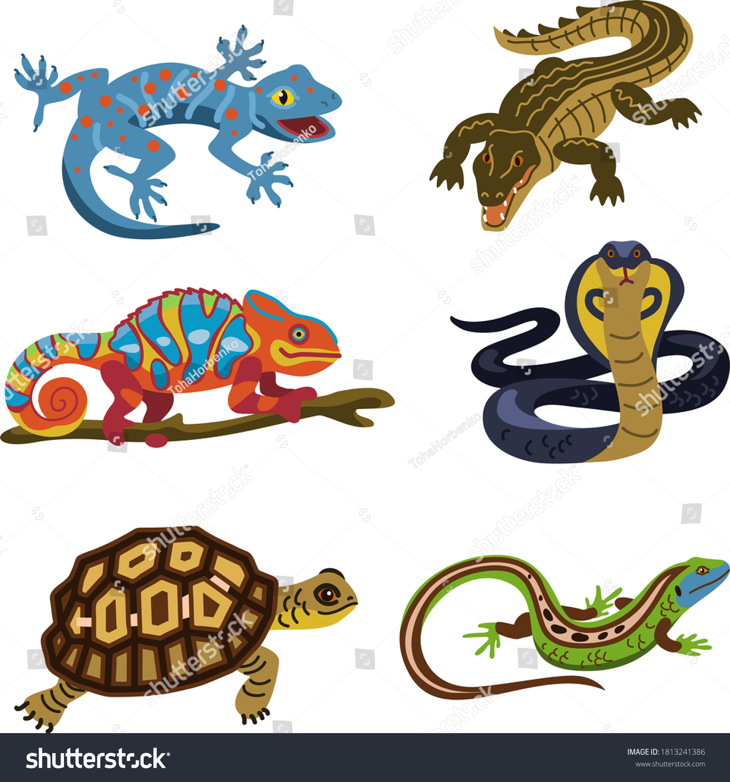 Turtles lizards snakes and crocodiles are which of the following Classes Of Reptiles Biology For Majors Ii