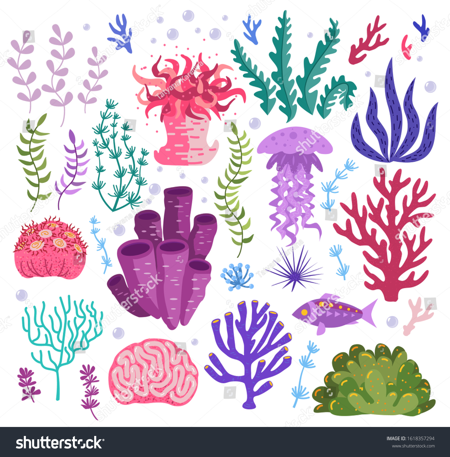 Set Underwater Ocean Coral Reef Plants Stock Vector (Royalty Free ...