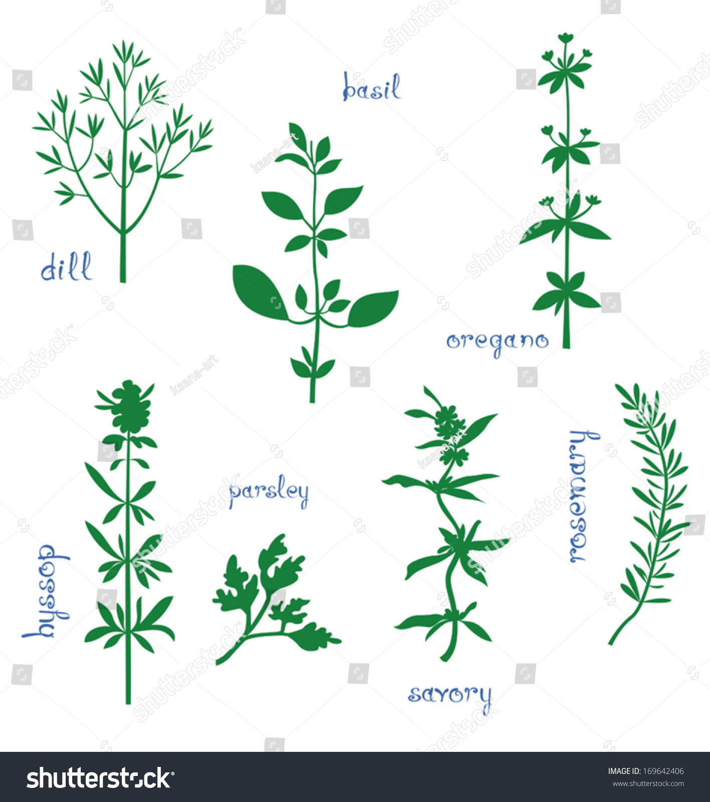 Set Various Aromatic Herbs Names Silhouettes Stock Vector ...