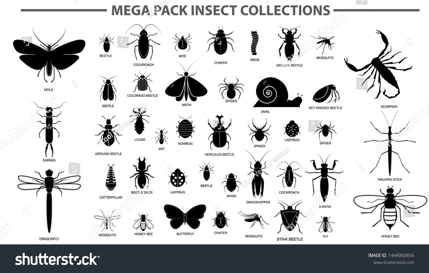 7-758-bugs-names-images-stock-photos-vectors-shutterstock