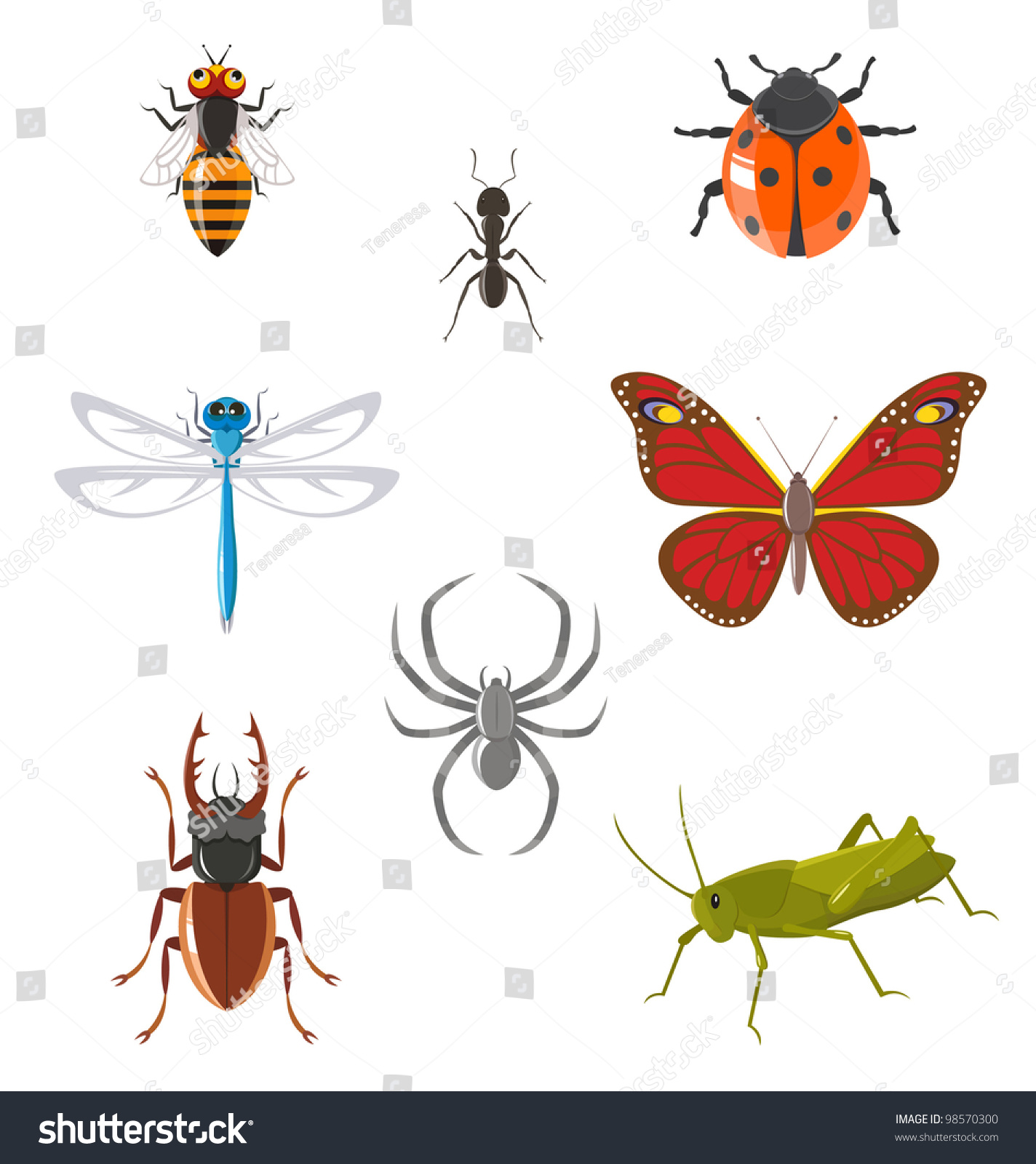Set Of Various Insects Such As Ant, Butterfly, Beetle, Dragonfly ...
