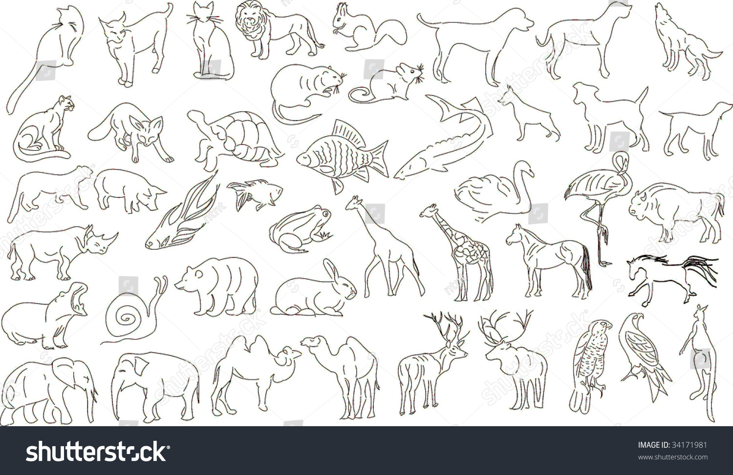 Set Vector Animals Rough Outlines Stock Vector 34171981 - Shutterstock