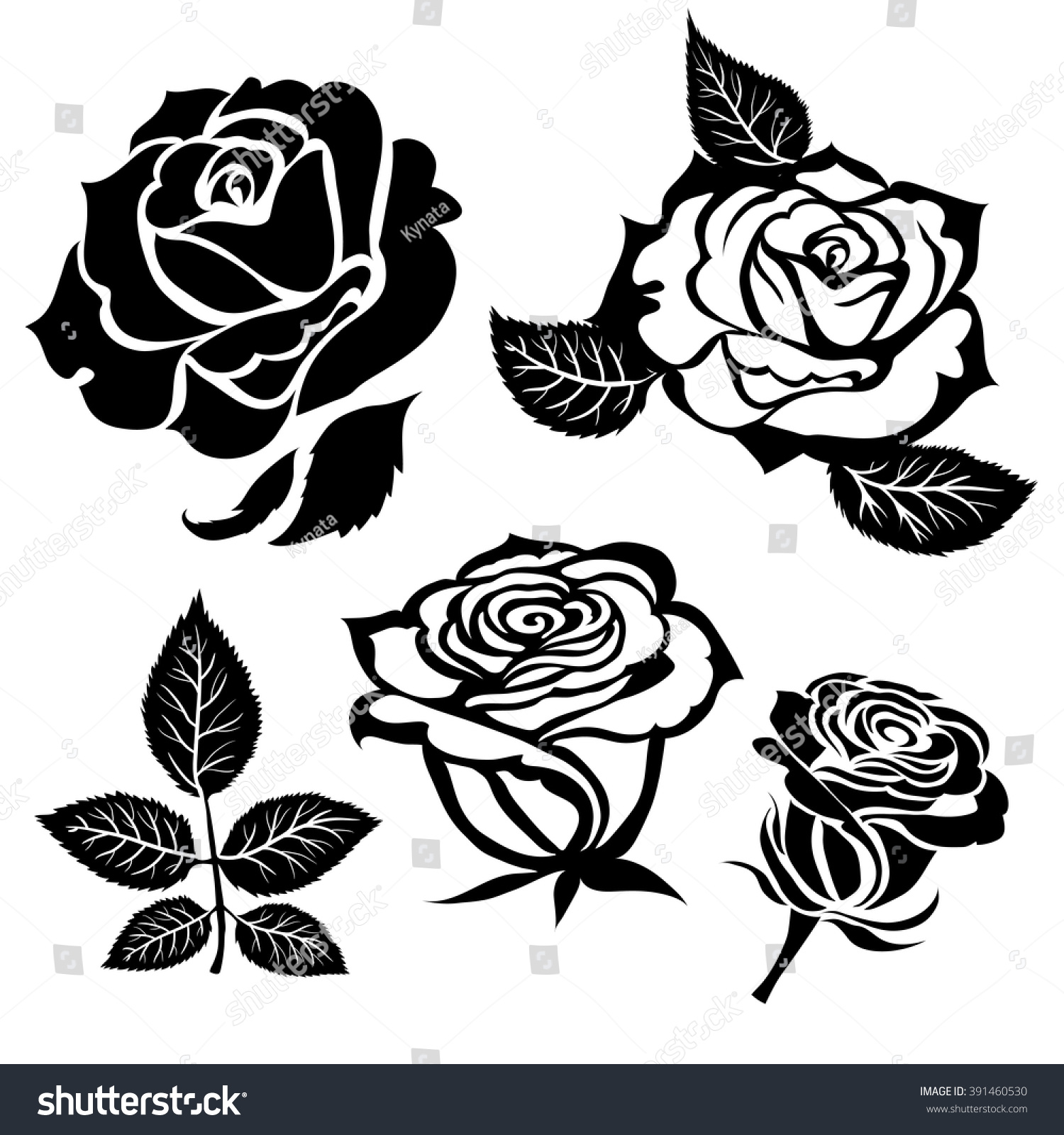 Set Vector Black Rose Flower Design Stock Vector 391460530 - Shutterstock