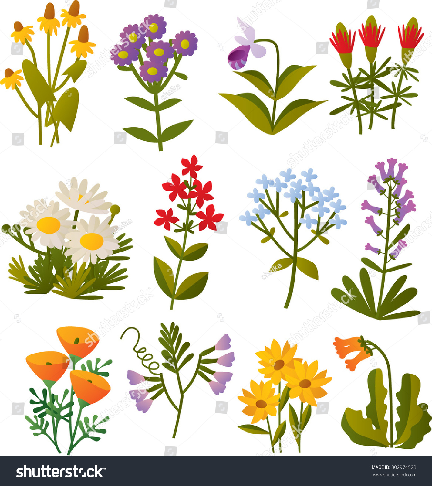 Set Vector Cartoon North American Wild Stock Vector 302974523 ...