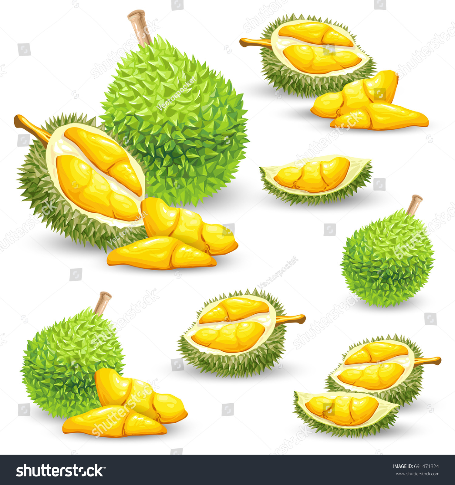 Set Vector Color Illustrations Icons Durian Image Vectorielle De