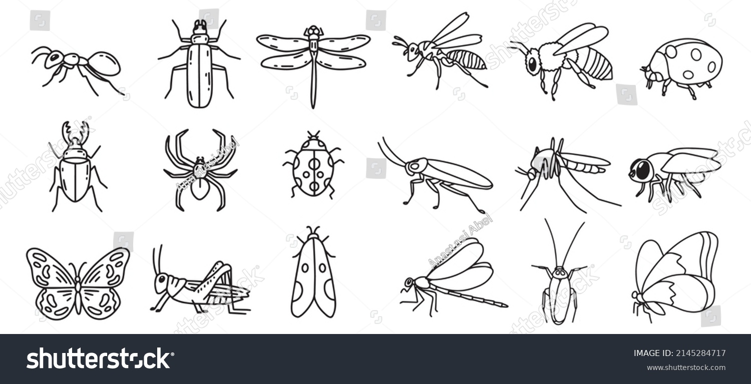 SVG of Set of vector doodle insects. Collection of modern line hand drawn bugs. Ant, butterfly, bug, spider, fly, moth. svg