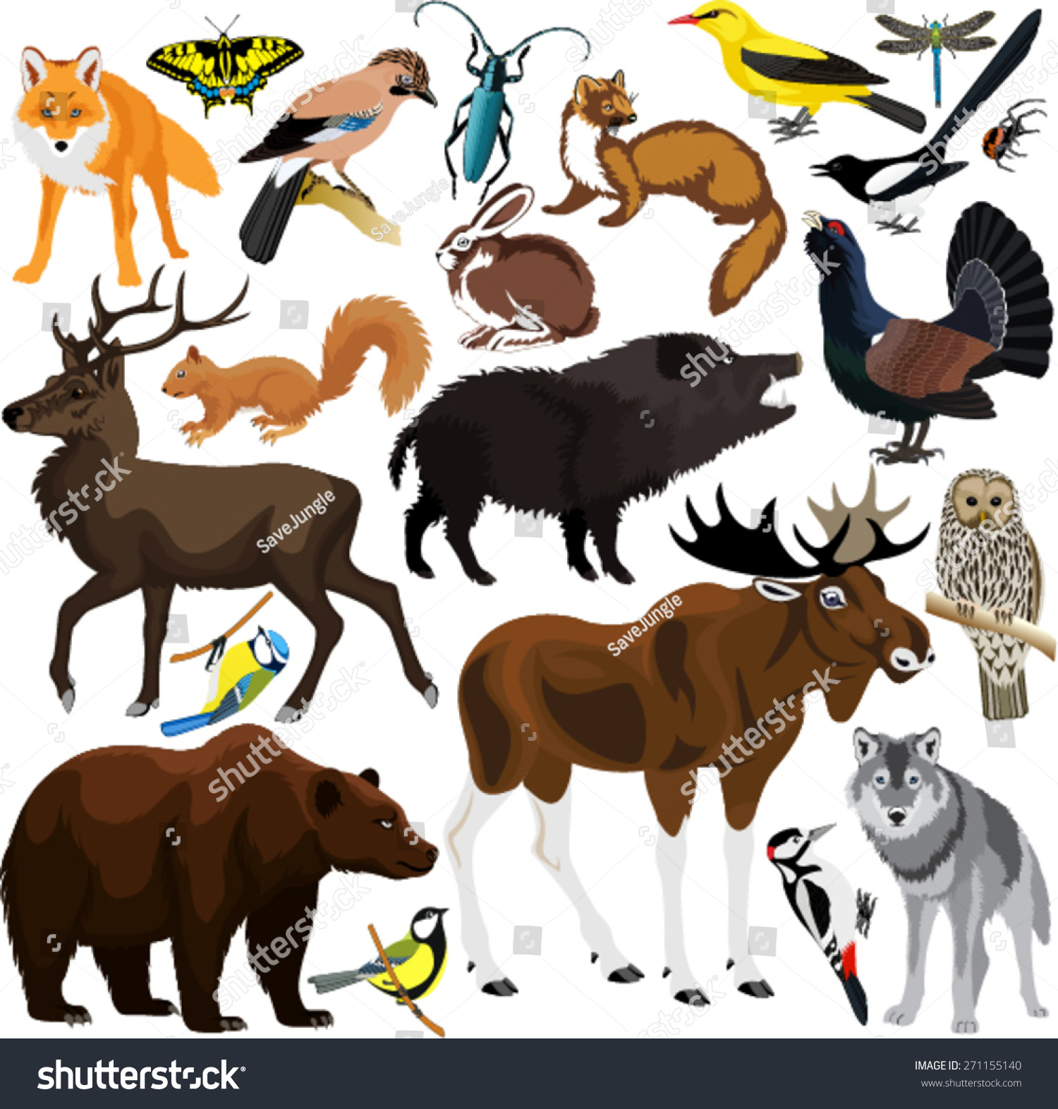 Set Of Vector Forest Animals - 271155140 : Shutterstock