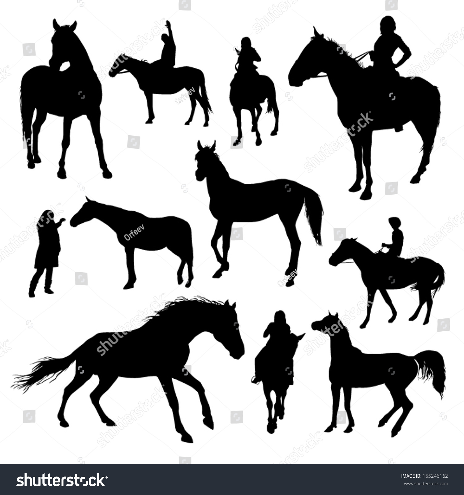 Set Of Vector Horses Silhouettes - 155246162 : Shutterstock