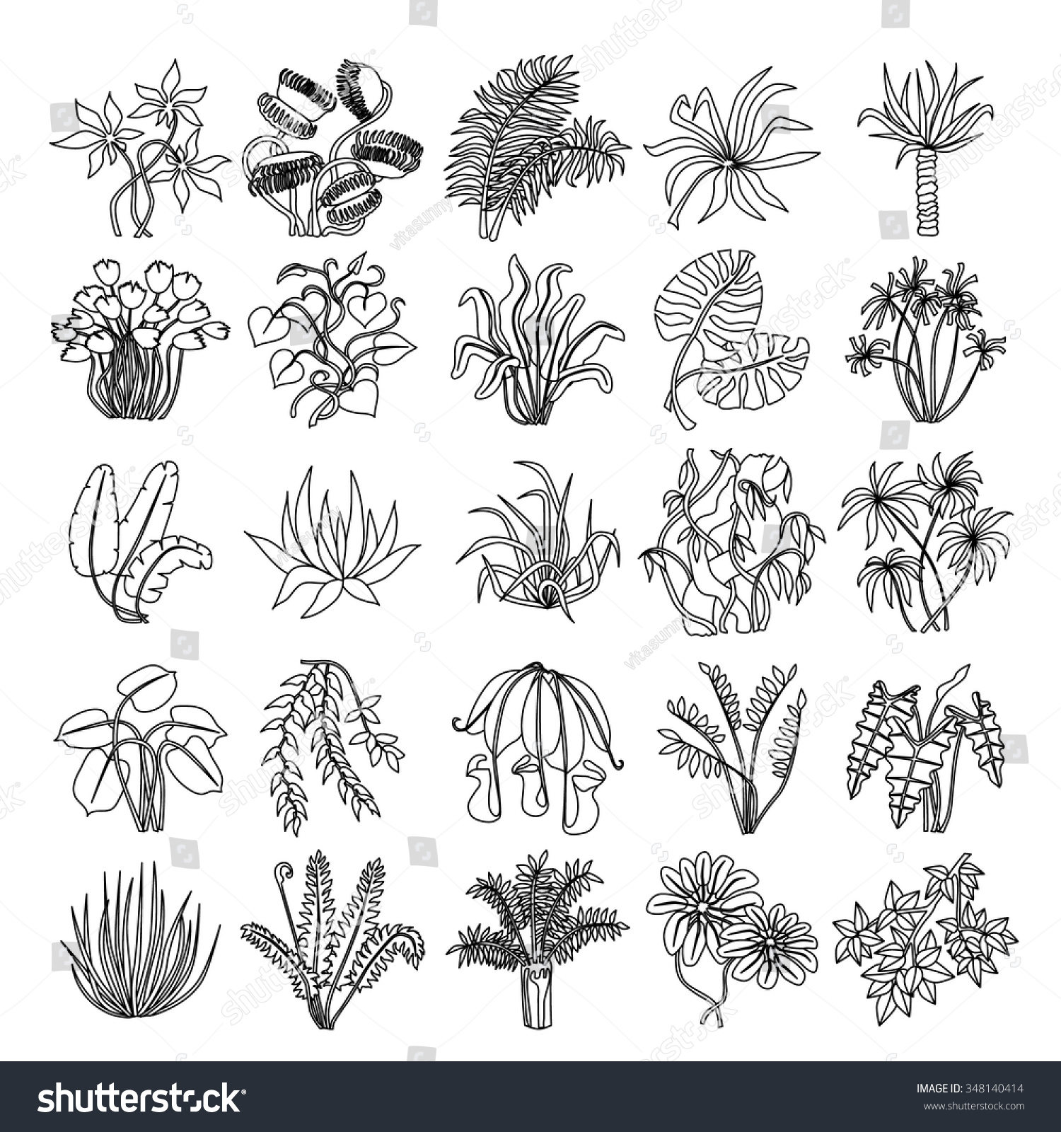 Set Of Vector Illustrations Of Leaves And Plants Of The Jungle ...