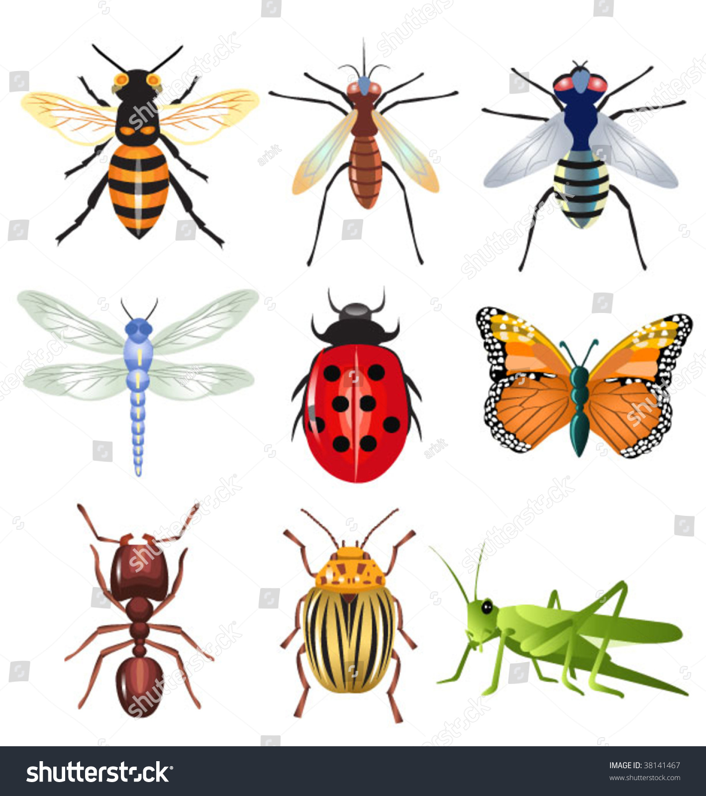 Set Vector Insects Stock Vector (Royalty Free) 38141467