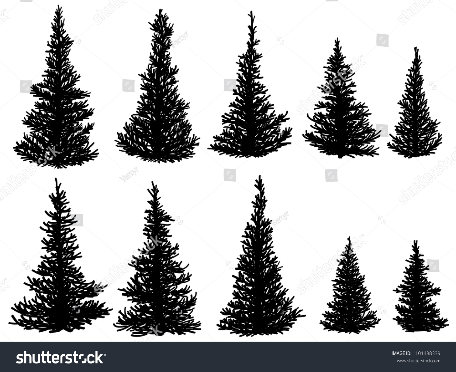 Set Vector Silhouettes Spruce Trees Fir Stock Vector (Royalty Free ...