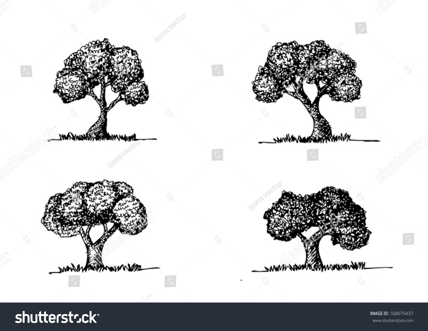Set Of Vector Trees With Leaves - 168075437 : Shutterstock
