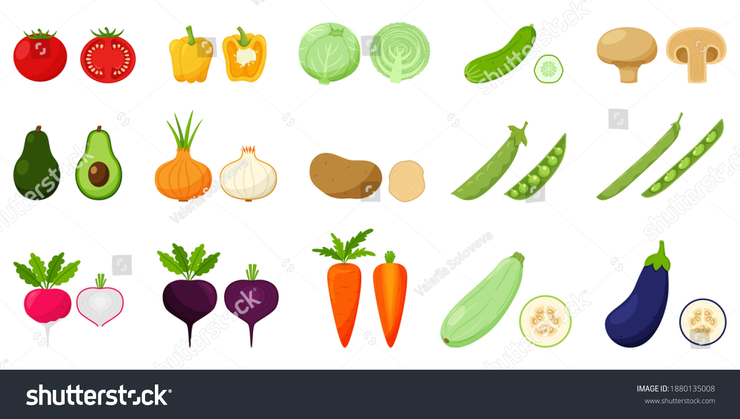 2 750件の 野菜 断面 のイラスト素材 画像 ベクター画像 Shutterstock