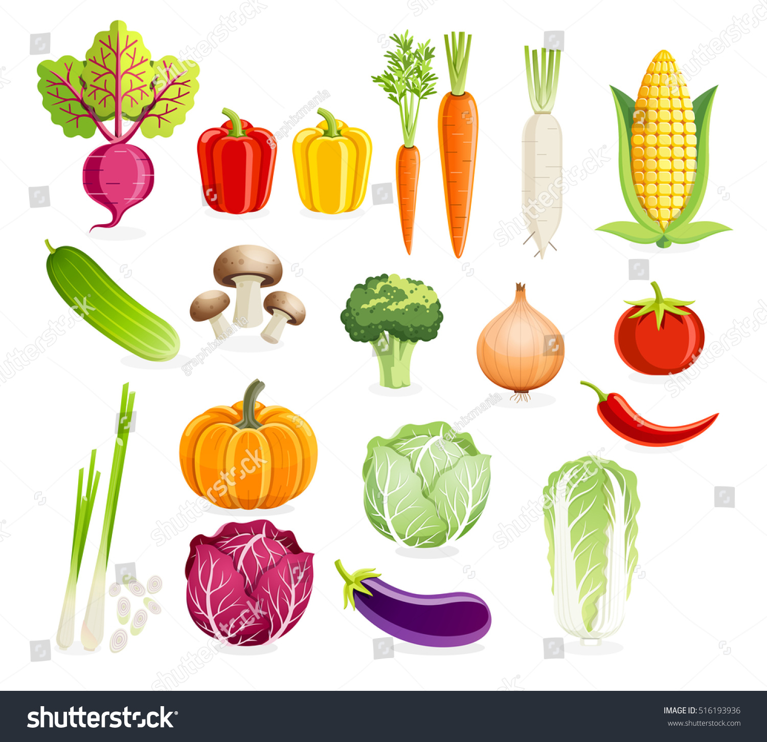 Set Vegetables Vector Illustrations Stock Vector 516193936 - Shutterstock