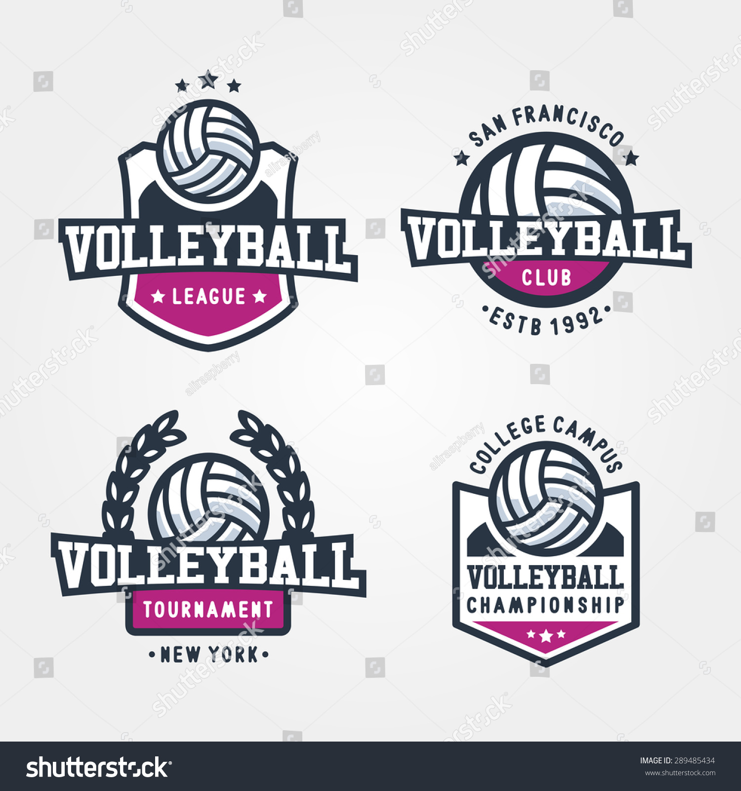 Set Volleyball Badge Logo Templates Sport Stock Vector 289485434 ...