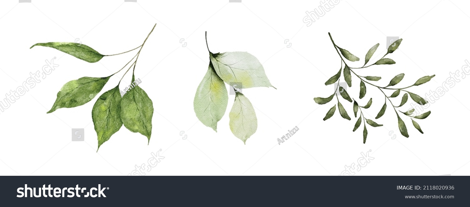 SVG of Set of watercolor green leaves elements. Collection botanical vector isolated on white background suitable for Wedding Invitation, save the date, thank you, or greeting card. svg
