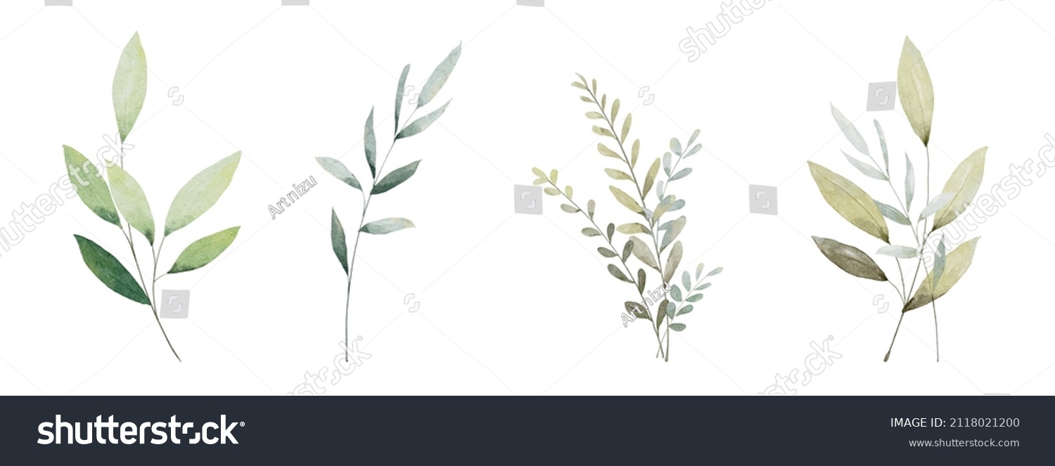 SVG of Set of watercolor green leaves elements. Collection botanical vector isolated on white background suitable for Wedding Invitation, save the date, thank you, or greeting card. svg