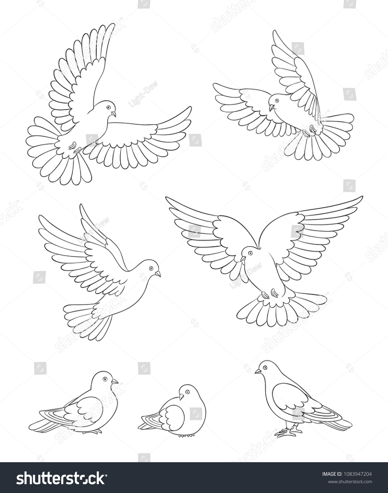 Set White Doves Contours Flying Sitting Stock Vector (royalty Free 