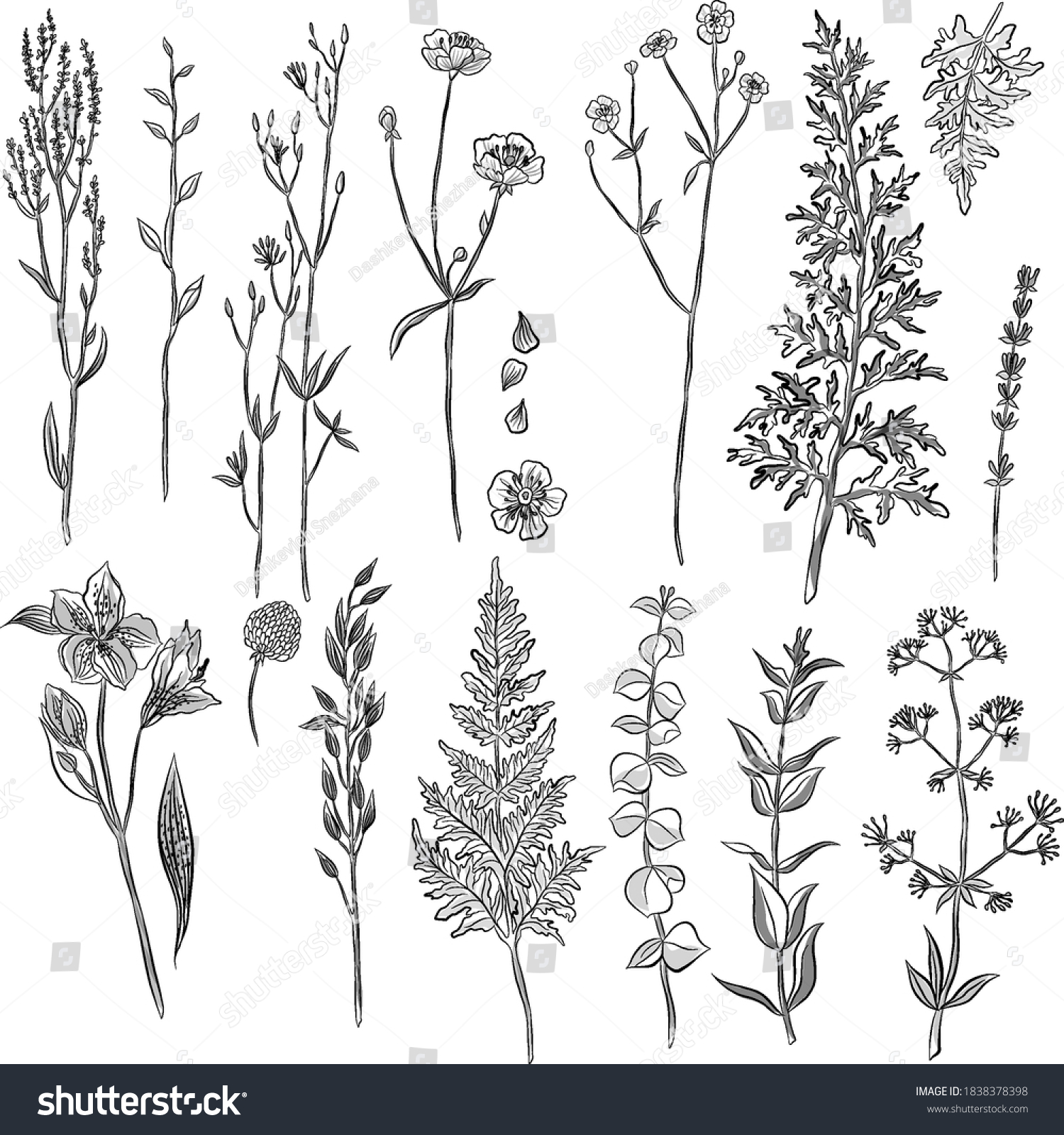 Set Wildflowers Tattoo Sketch Black White Stock Vector (Royalty Free ...