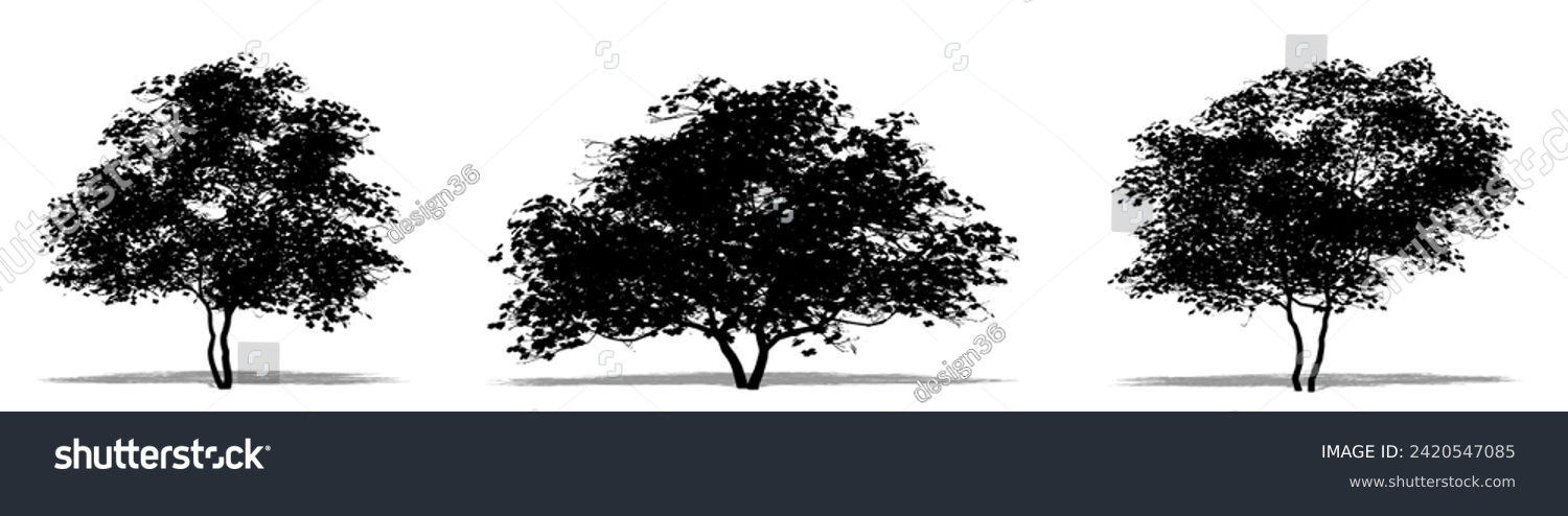 SVG of Set or collection of Flowering Dogwood trees as a black silhouette on white background. Concept or conceptual vector for nature, planet, ecology and conservation, strength, endurance and  beauty svg