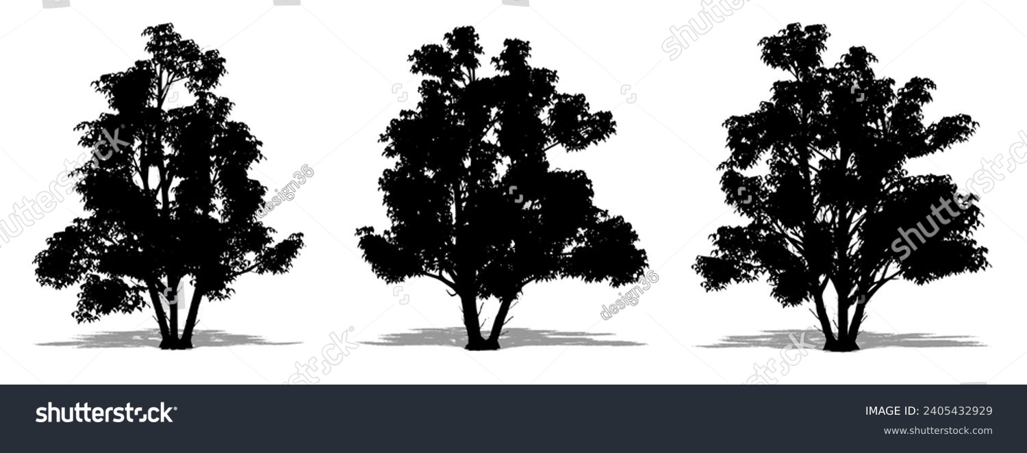 SVG of Set or collection of Kousa Dogwood trees as a black silhouette on white background. Concept or conceptual vector for nature, planet, ecology and conservation, strength, endurance and  beauty svg