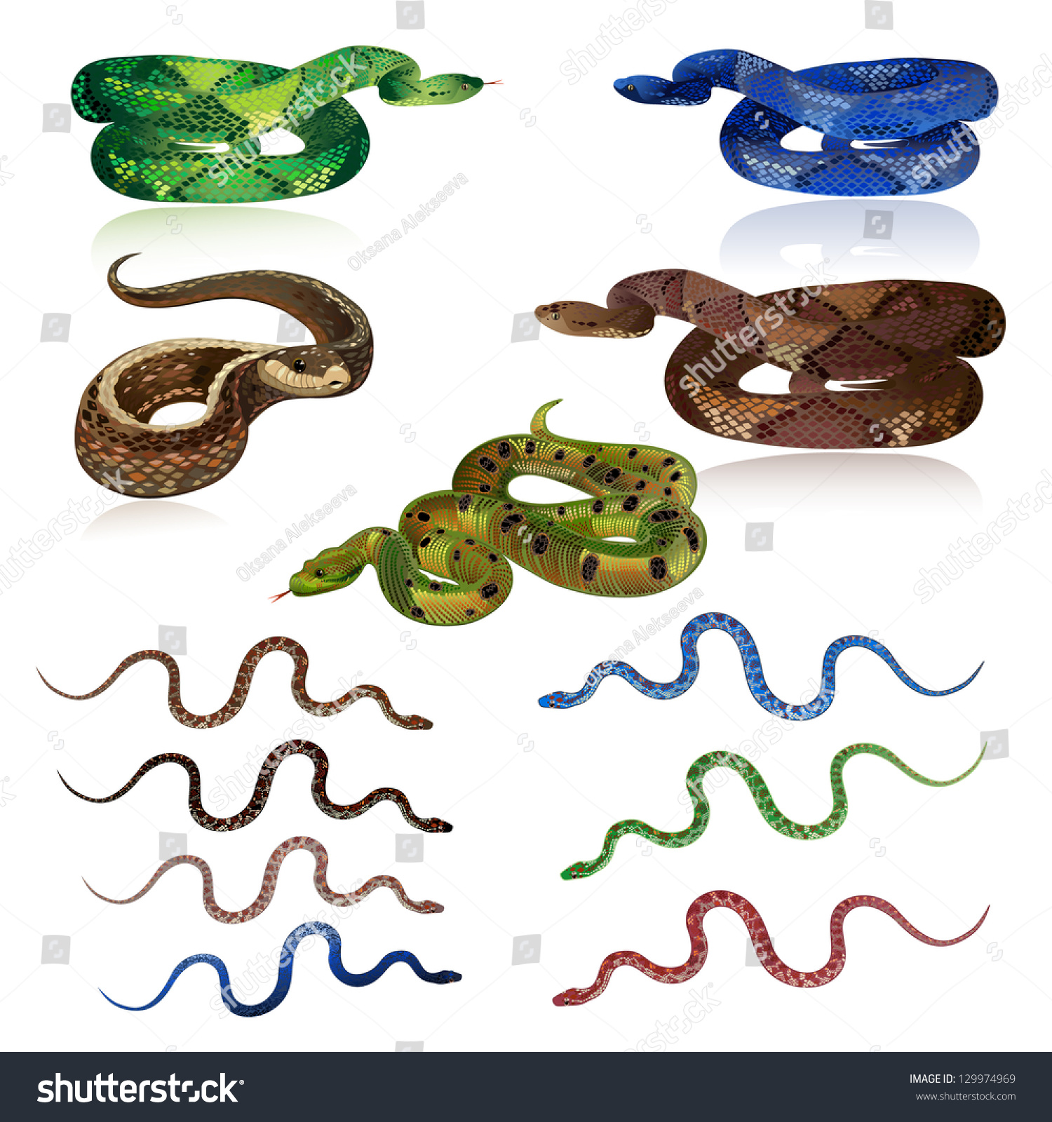 Set Pretty Realistic Snakes Stock Vector (Royalty Free) 129974969