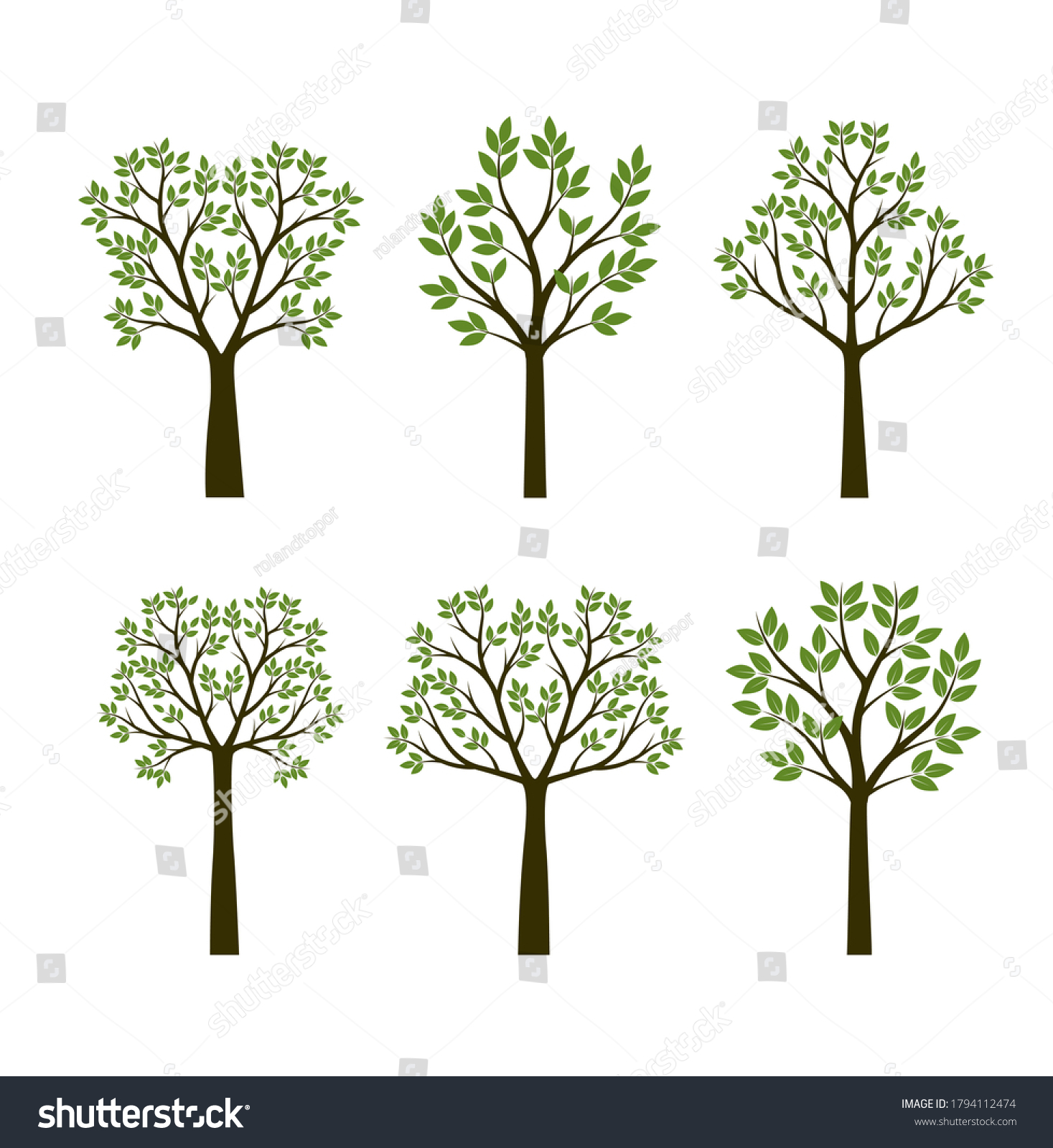 Set Shape Tree Leaves Vector Outline Stock Vector (royalty Free 