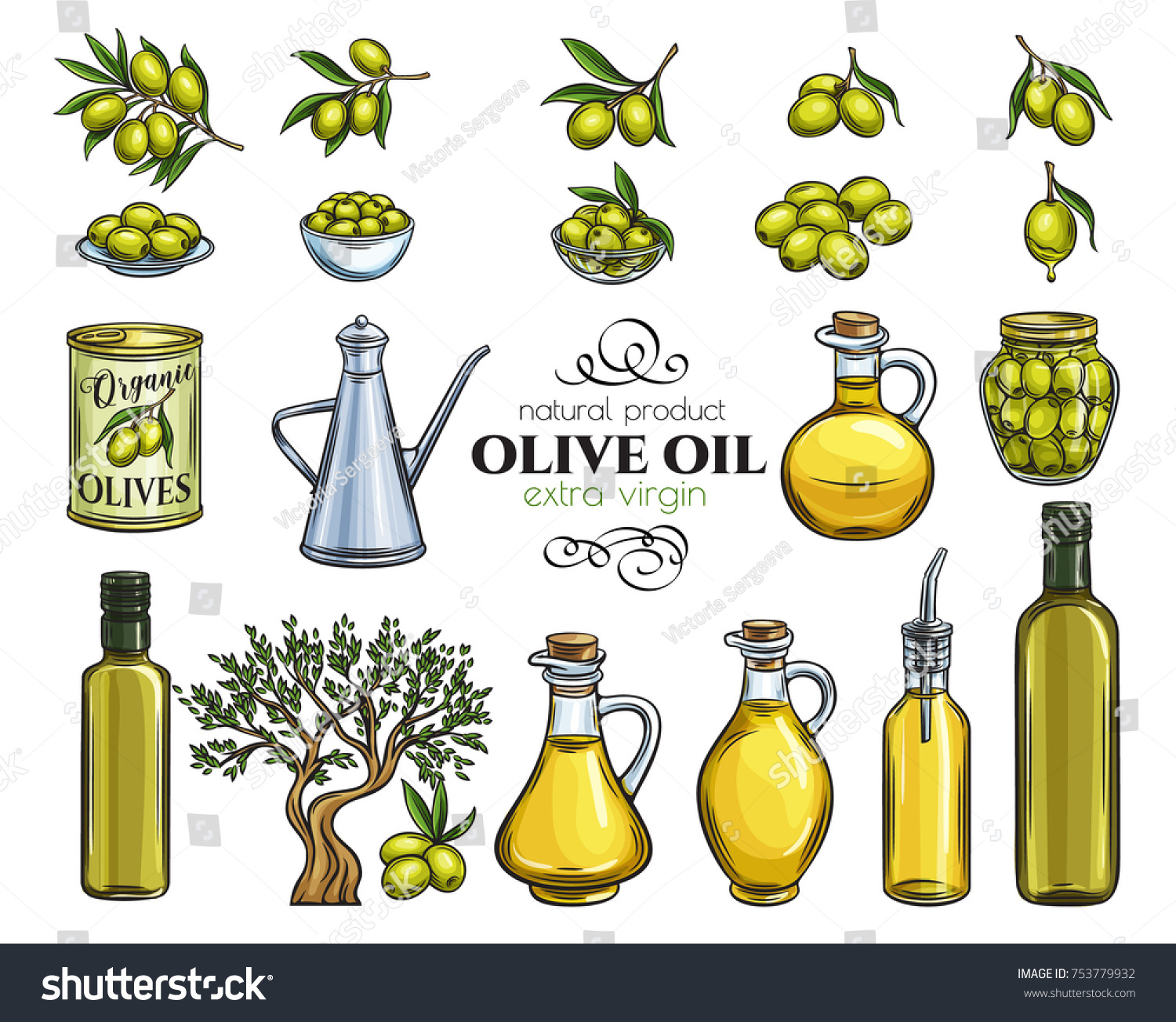 Set Vector Hand Drawn Olives Tree Stock Vector Royalty Free 753779932 Shutterstock 