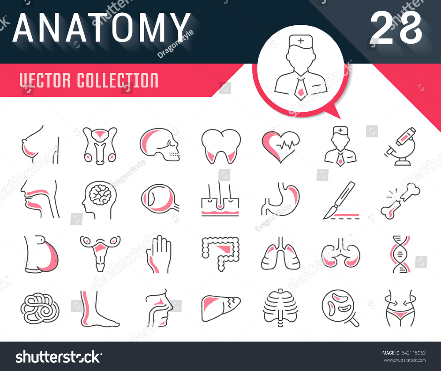 Set Vector Line Icons Sign Symbols 库存矢量图（免版税）642115063 Shutterstock