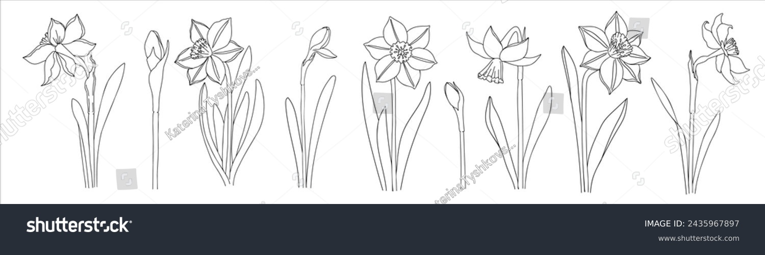 SVG of Set with daffodils. Botanical line art illustration. Hand drawn narcissus collection. Vector floral elements. Wedding elegant wildflowers for invitation save the date card. svg
