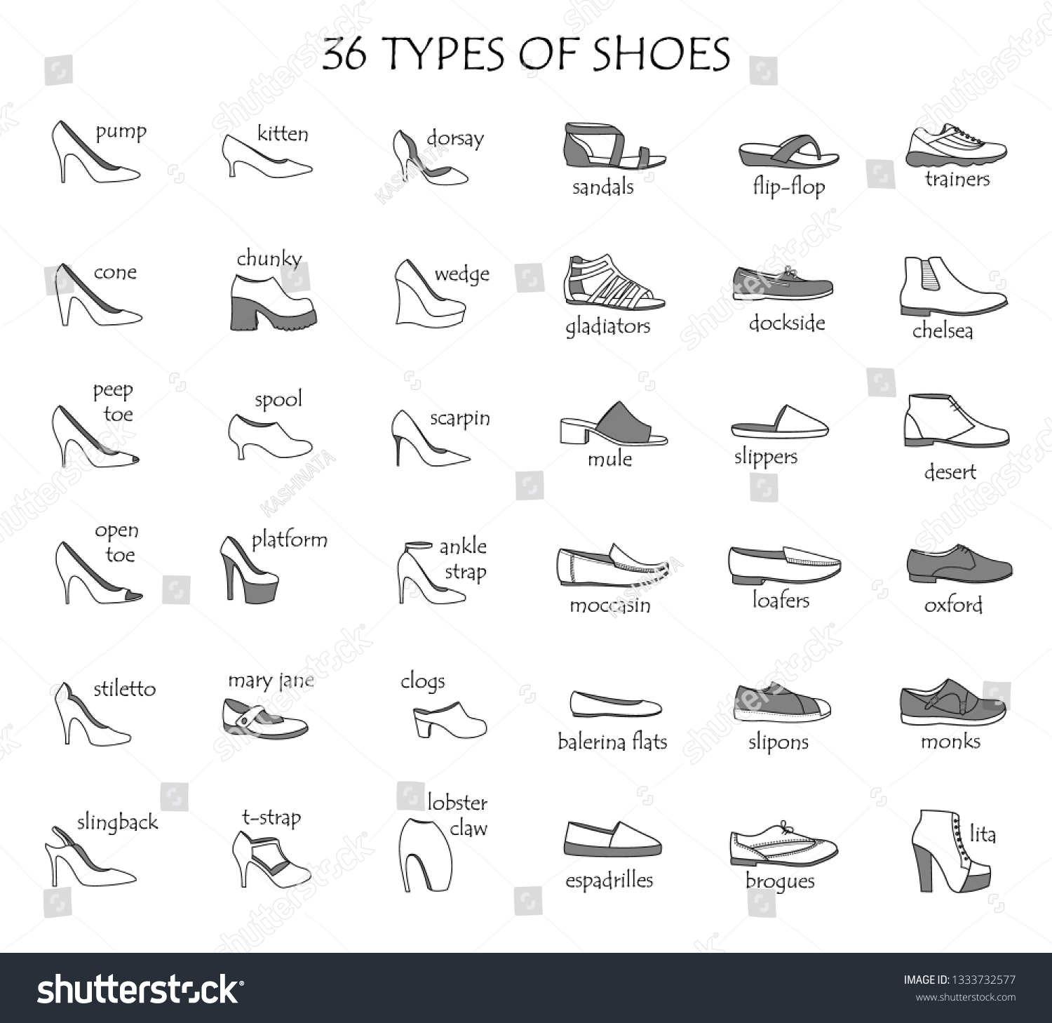 Set Different Types Womens Shoesvarious Types Stock Vector (Royalty ...