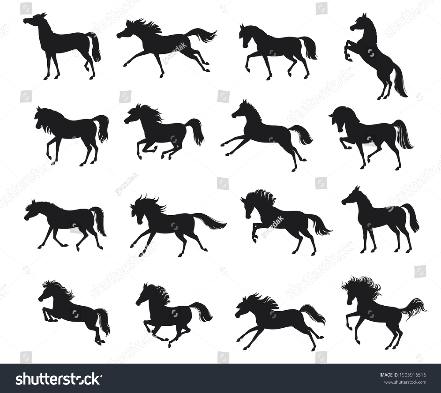 22,860 Ponies Running Images, Stock Photos & Vectors 