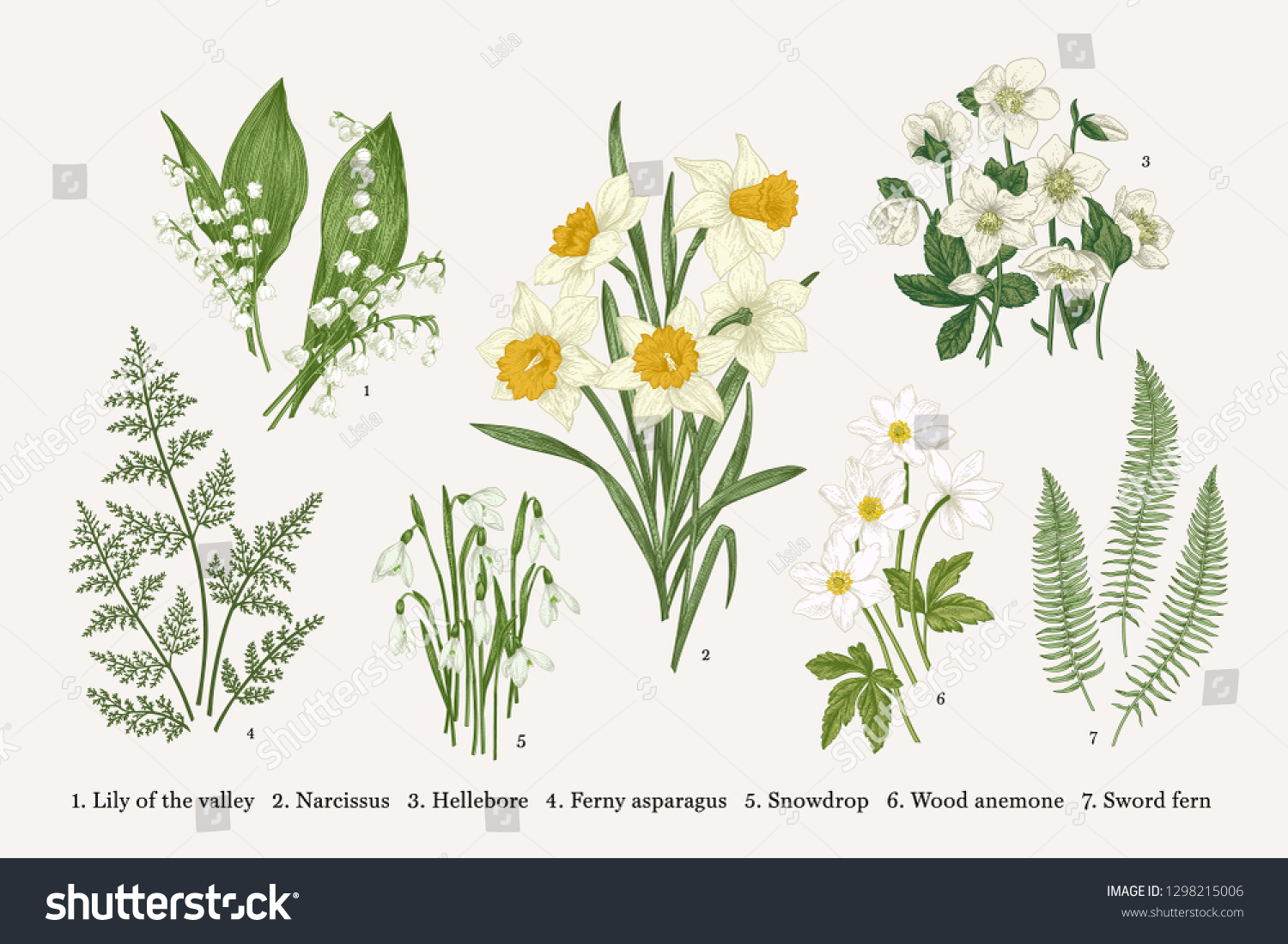 SVG of Set with spring flowers. Vector botanical illustration. svg