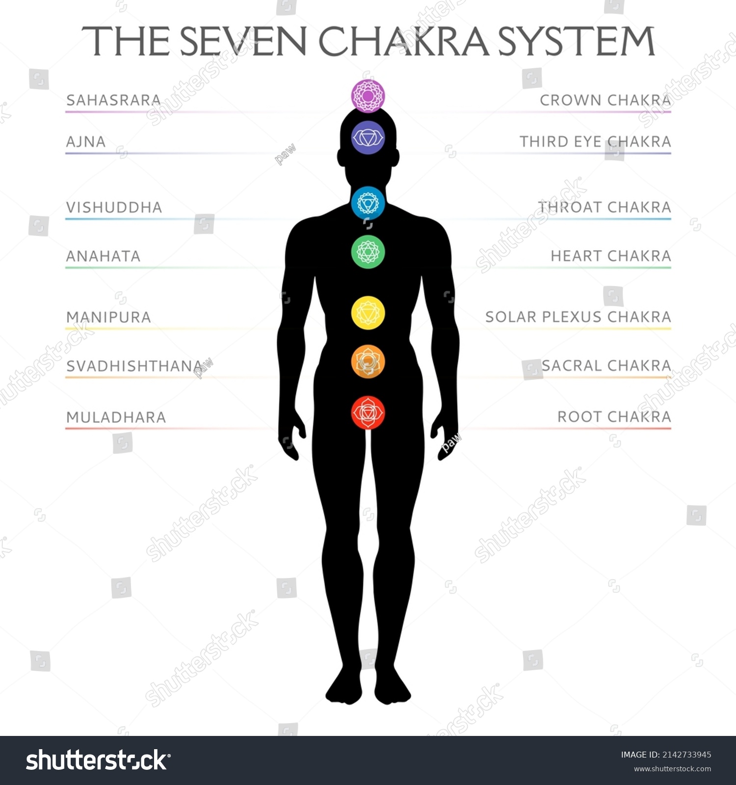 Seven Chakra System Human Body Infographic Stock Vector Royalty Free 2142733945 Shutterstock