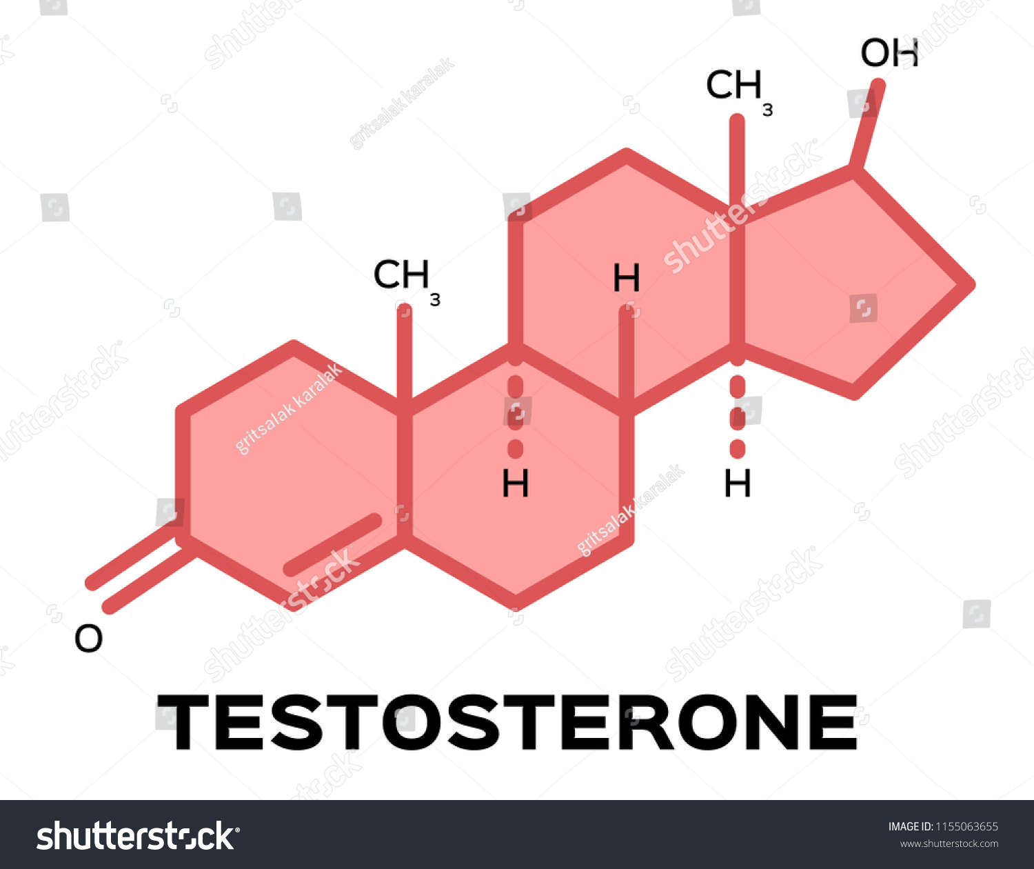 Sex Hormones Testosterone Vector Stock Vector Royalty Free 1155063655 8494